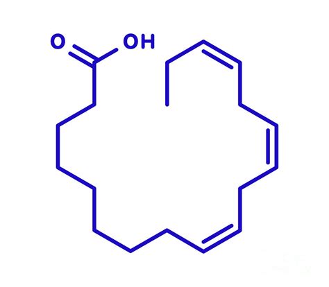 alpha linolenic acid reviews.